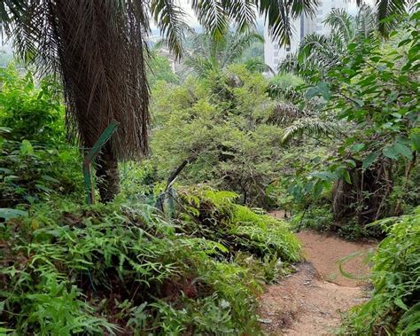 THE 10 BEST Places to Visit in Nilai (2025) - Must-See Attractions