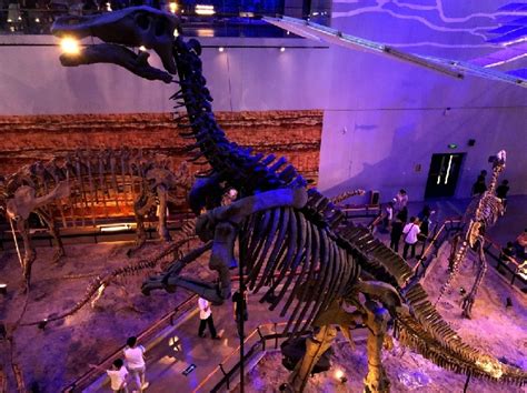 广东肇庆发现恐龙足迹，7个脚印清晰可见，疑为恐龙在奔跑时留下 - 知乎