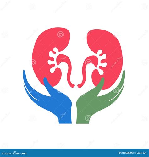 Kidney Care. Kidneys Icon. Treatment Of Kidneys Diseases. Urology, Nephrology Clinic Medical ...