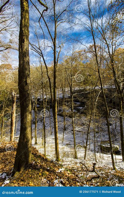 View of Hemlock Cliffs in Autumn after a Light Snow, Indiana Stock ...