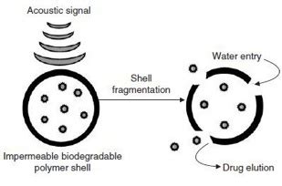 Image result for Definity Microbubbles