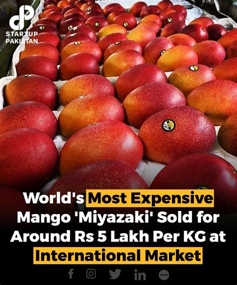 Most Expensive Mango 的图像结果