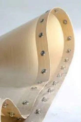 Conveyor Belt - Stainless Steel Conveyor Belt from Ahmedabad