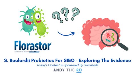 S. Boulardii Probiotics For SIBO - Do They Help? - Andy The RD