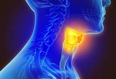 Neck Design Cutting 的图像结果