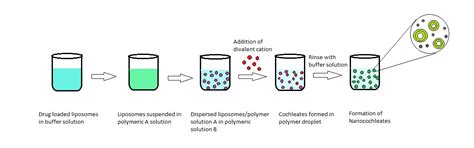 Fig. 2: Hydrogel method
