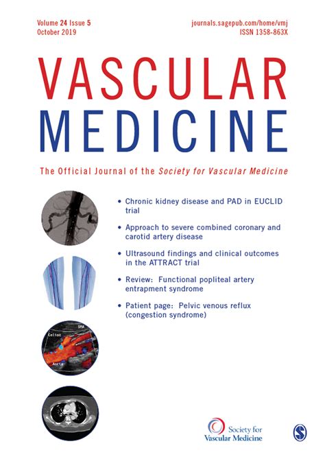 Functional popliteal artery entrapment syndrome: A review of diagnostic ...