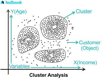 Image result for Cluster Study