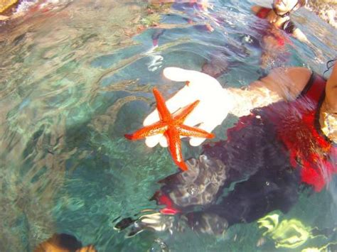 8aventura (Majorca) - 2022 What to Know Before You Go (with Photos ...