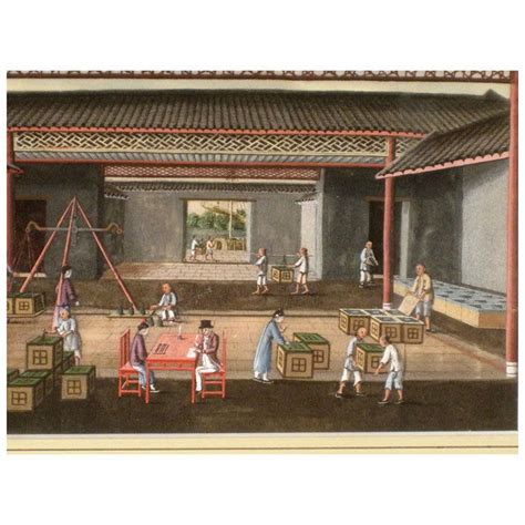 Palaung Tea Cultivation: Ancient Indigenous Growing Techniques