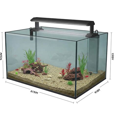 Complete Guide to 60 Gallon Fish Tank Dimensions: Everything You Need ...