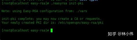 Easy-Rsa OpenVPN 的图像结果