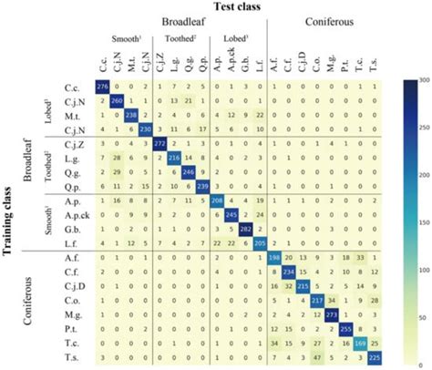 Verification of a Deep Learning-Based Tree Species Identification Model ...