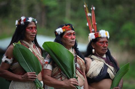 Ecuador Indigenous Population: Culture, History & Traditions