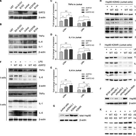 Image result for Coding SIRT