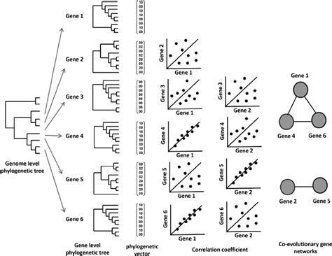 Image result for HackerRank Mirror Tree
