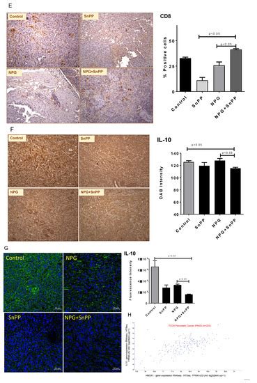 Heme Oxygenase-1 Inhibition Potentiates the Effects of Nab-Paclitaxel ...