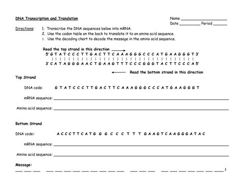 Image result for Protein Synthesis Review Worksheet
