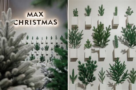 День рождения Max Christmas