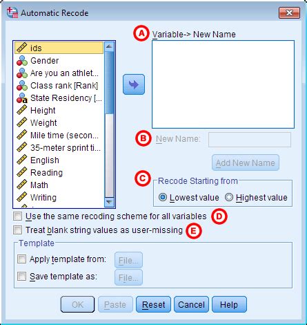 SPSS Recode Variables 的图像结果