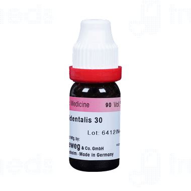 Dr Reckeweg Thuja Occ 30 Ch Dilution 11 Ml - Uses, Side Effects, Dosage ...