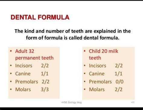 write dental formula of human adult and children - Brainly.in