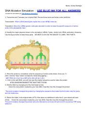 Image result for DNA Simulation Worksheet
