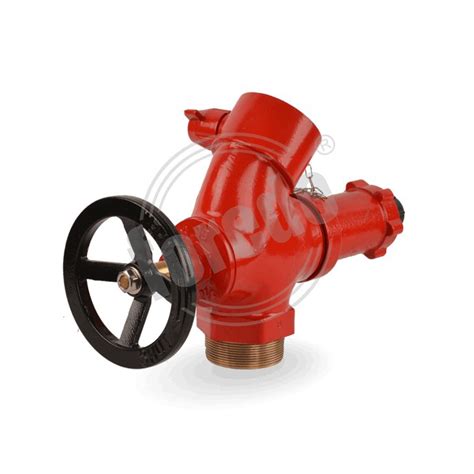 Image result for Pressure Regulating Valve Fire Protection