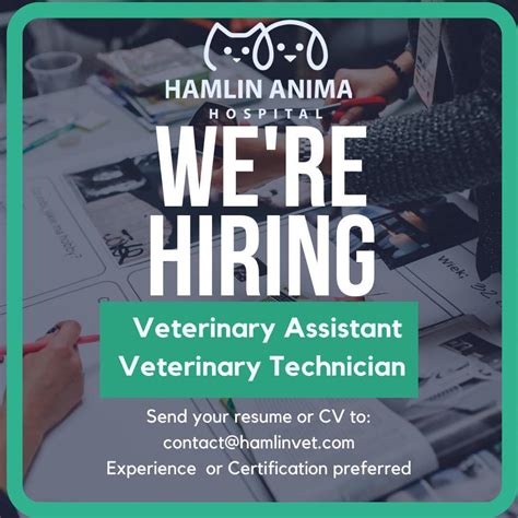 Hamlin Animal Hospital (@hamlinanimalhospital) • Instagram photos and ...