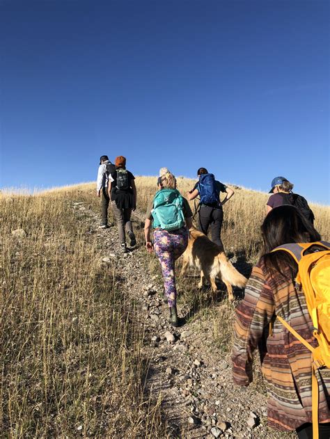 What Is a Local Food Example 的图像结果