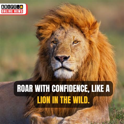 20 Powerful Attitude Lion Quotes with Images
