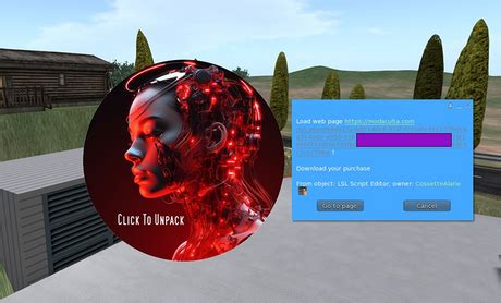 LSL Script 的图像结果