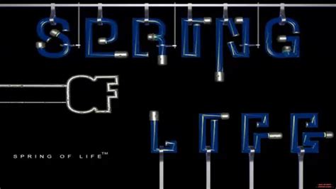 Image result for Spring of Life 2000