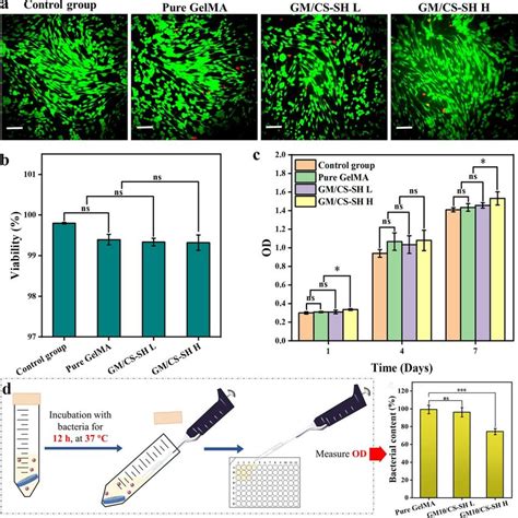 Image result for In Vitro Biocompatibility Test