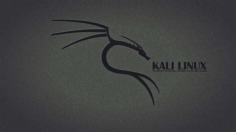 Image result for Kali Linux Background