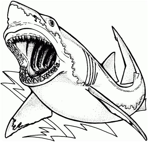 Megalodon Coloring Page at GetColorings.com | Free printable colorings ...