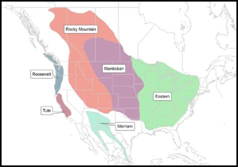 History of Elk — Washington State And Hanford Reach | U.S. Fish ...