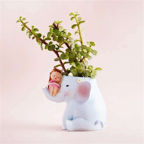 Send Jade Plant with Elephant Pot and Dry Fruits Online - GAL21-99240 ...