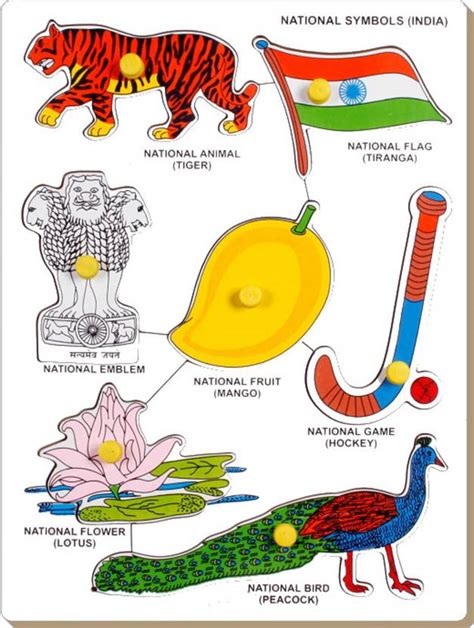 Little Genius National Symbols-India - National Symbols-India . Buy ...