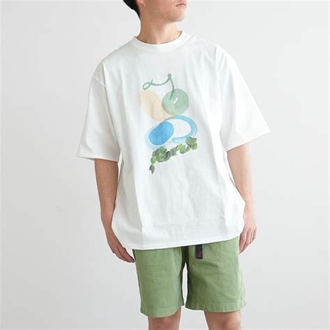 【30%OFF】（NT3331N）THE NORTH FACE PURPLE LABEL(ザ・ノースフェイス パープルレーベル) / H/S ...