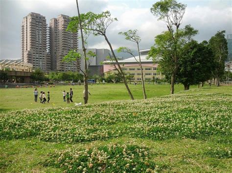 TIAN MU SPORTS PARK (2025) All You Need to Know BEFORE You Go (with ...