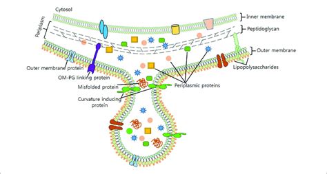 OMV Project Development Process 的图像结果
