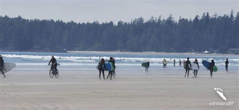 Wildlife Tours on Vancouver Island - wildlife in vancouver island