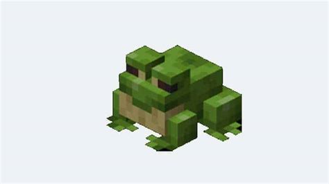 Image result for Minecraft Frog Biome Colors
