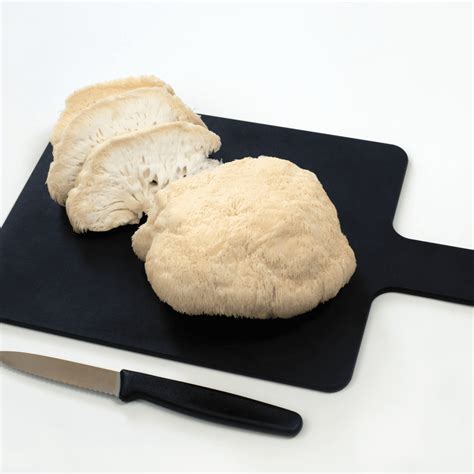Tender Lion's Mane Mushroom Steak - Foraged