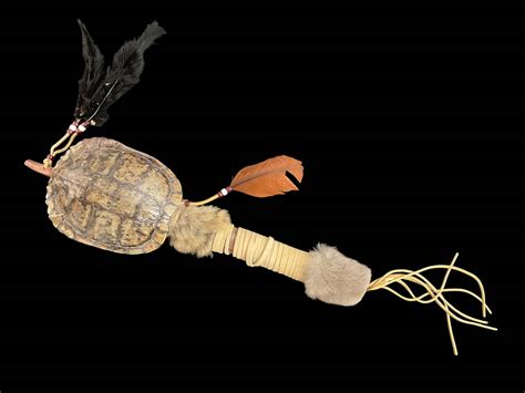 Image result for Native American Turtle Shell