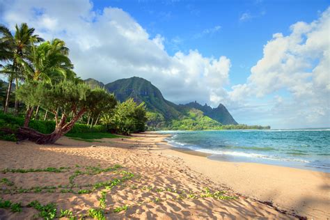Hawaii Beach Vacation