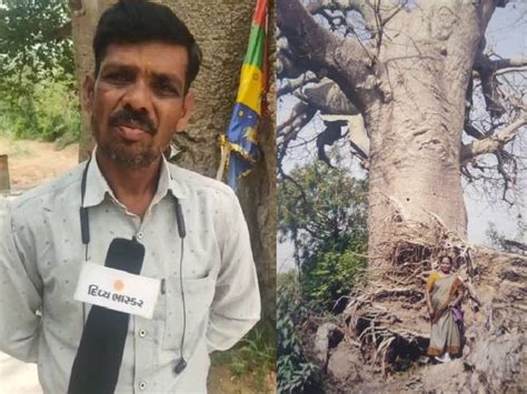 What signal did the Vadodara police officer get from the tree worth ...