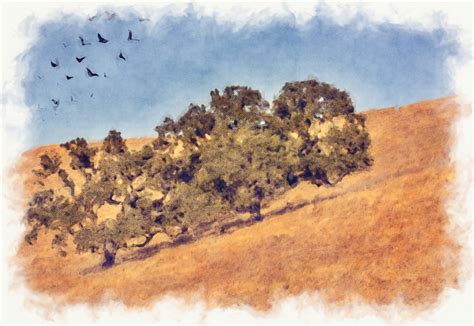 Fall Backgrounds Countryside 的图像结果