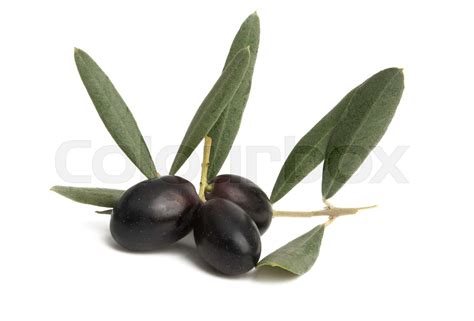 black olives isolated | Stock image | Colourbox